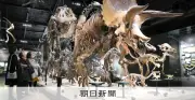 恐竜絶滅の小惑星衝突跡、北海道で発見 東北大などが10年がかりで確認