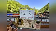 愛猫プリント「うちの子ねこきっぷ」黒部峡谷鉄道が猫又駅開通100年記念でプレゼント