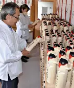 福島・西根神社で「うそかえ祭」、木彫りの鷽鳥1000体限定で授与