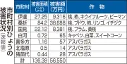 福島県のひょう被害、過去10年で2番目の規模 総額5.6億円、桃が中心
