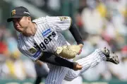 阪神・村上が今季2勝目、広島戦で力投 甲子園で無四球9奪三振