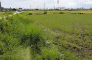 中日ドラゴンズ2軍誘致、愛知県刈谷市も名乗り 候補地は逢妻駅北西の田園地帯