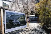 軽井沢フォトフェスト2026、町全体がアートギャラリーに変貌