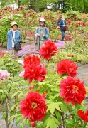 福島県の復興計画、新たなステージへ　2027年度までの方針決定
