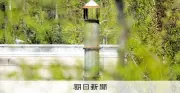 旭山動物園飼育員の男「ロープで妻の首絞め殺害」と供述、22日にも殺人容疑で再逮捕へ