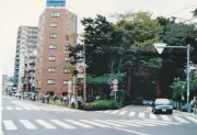 さいたま市25年、大宮・氷川参道が「都心のオアシス」に生まれ変わる