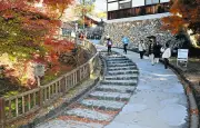 愛知「犬山城は守りの城」実態解明へ、大手道を発掘調査　29～30年度に実施