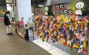 足立の花火、3度目の正直へ てるてる坊主に願い込め区役所に飾られる