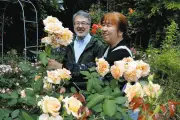川崎の個人農園でバラ約300種見頃、カラフルな花園が一般公開中