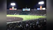 阪神、今季初の3連敗で打線沈黙…日本ハムに3連戦4得点、立石は無安打