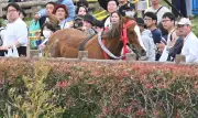 福島県で震度4の地震、津波の心配なし