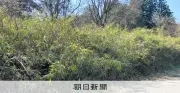 終わらない原野商法の実態 40年越しで妻も被害に 栃木の山林を購入