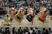 夏場所の懸賞本数が初の4000本超え、過去最多4241本に