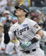 阪神・佐藤が4安打1発の大暴れ！神7-5巨で甲子園沸かす