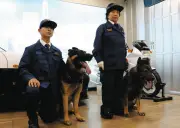 埼玉県警で警察犬嘱託式、60頭と指導士22人が委嘱