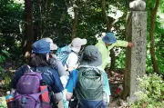7年ぶり「高野参詣道町石道登山」開催、健脚自慢の約千人が世界遺産を踏破