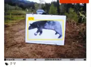 クマ接近をAIで検知し自動撃退、岐阜大と飛騨市が実証試験を開始