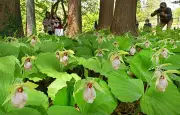 福島県の高校生がAI活用した地域活性化プランを発表、最優秀賞に輝く