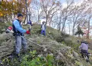 福島県がAIを活用した農業支援システムを導入、生産性向上へ
