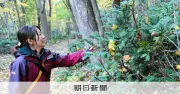 万博でフィーチャーされた「森林」への違和感が原点 漫画家と考えるみぢかな森