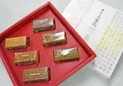 福島県で新たな太陽光発電所の建設が計画、再生可能エネルギー拡大へ