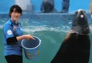三重・伊勢シーパラダイスで飼育員のランチを覗き見！連休中も大賑わい