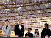 本宮市「蛇の鼻」でフジ棚ライトアップ、夜の幻想的な共演
