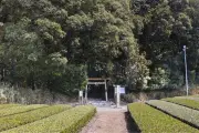 滋賀・甲賀市の垂水斎王頓宮跡：古代皇族女性が休息した歴史スポット
