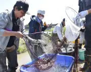 福島県、脱炭素化へ新戦略 再生可能エネルギーで地域活性化