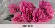 母の日に「感謝」強要される息苦しさ 贈り物やめた女性の本音