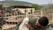 マリア像にたばこ押しつけ、イスラエル兵を拘禁処分　レバノン駐留中