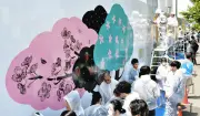八千代市の中学生が新市役所工事現場の壁に満開の桜を描くアートプロジェクト