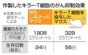 ｉＰＳ細胞から固形がん抑制するキラーＴ細胞作製に成功　京大チーム