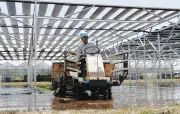 千葉大キャンパスでペロブスカイト太陽電池の農業活用実証実験開始