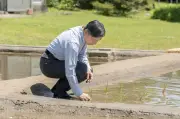 天皇陛下、皇居内水田で恒例の田植え行事を実施　農業奨励の一環