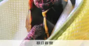 沖縄の希少カメを違法捕獲か、ペットショップ経営者ら逮捕 「金になる」と供述