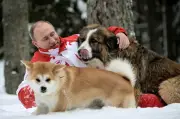 ロシア贈呈の犬たちの動向は謎に包まれたまま 大統領公邸で飼育か
