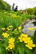 福島県の高校生が地域活性化を提案するビジネスコンテスト開催