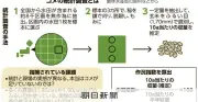 コメの作況指数「廃止」と後継指標の全貌　令和の米騒動から学ぶ基礎用語