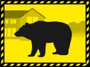 青森市中心部の複合ビルにクマが居座り、捕獲作戦続く
