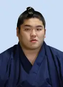 大相撲夏場所、朝紅龍が右膝負傷で休場　再出場せず