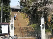 千葉・市川の真間山弘法寺と周辺エリア、地形と歴史を楽しむまち歩きの魅力