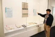 「春の女神」ギフチョウ標本展示 厚木・小鮎地域の魅力再発見企画展