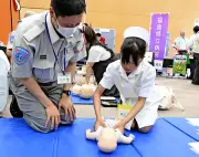 福島県内の桜、満開時期が平年より早まる傾向に