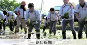 アイリスオーヤマがコメ生産に参入、安定供給目指すも価格課題