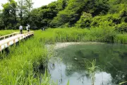 深大寺の湧水と城跡を巡る旅 水辺の緑と歴史を満喫