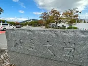 ストレスで腹痛が起こる神経回路を解明、岐阜大研究グループが成功