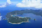 小笠原諸島、動物持ち込みを申告制に　外来種防止へ規制強化