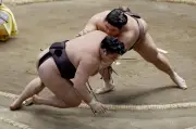 伯乃富士、逆襲で霧島破りＶ望みつなぐ　両親の前で１０勝目
