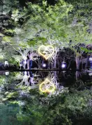 埼玉・長瀞の月の石もみじ公園で青もみじライトアップ、水盤鏡に映る幻想的な風景